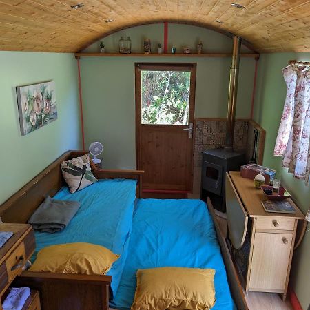 Rosa The Cosy Cabin - Gypsy Wagon - Shepherds Hut, River Views Off-Grid Eco Living Vila Pedrogao Grande Exterior foto