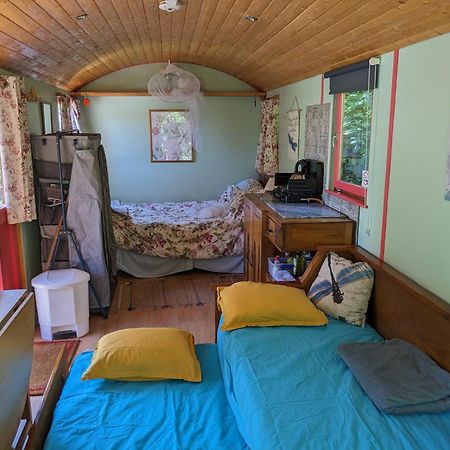 Rosa The Cosy Cabin - Gypsy Wagon - Shepherds Hut, River Views Off-Grid Eco Living Vila Pedrogao Grande Exterior foto