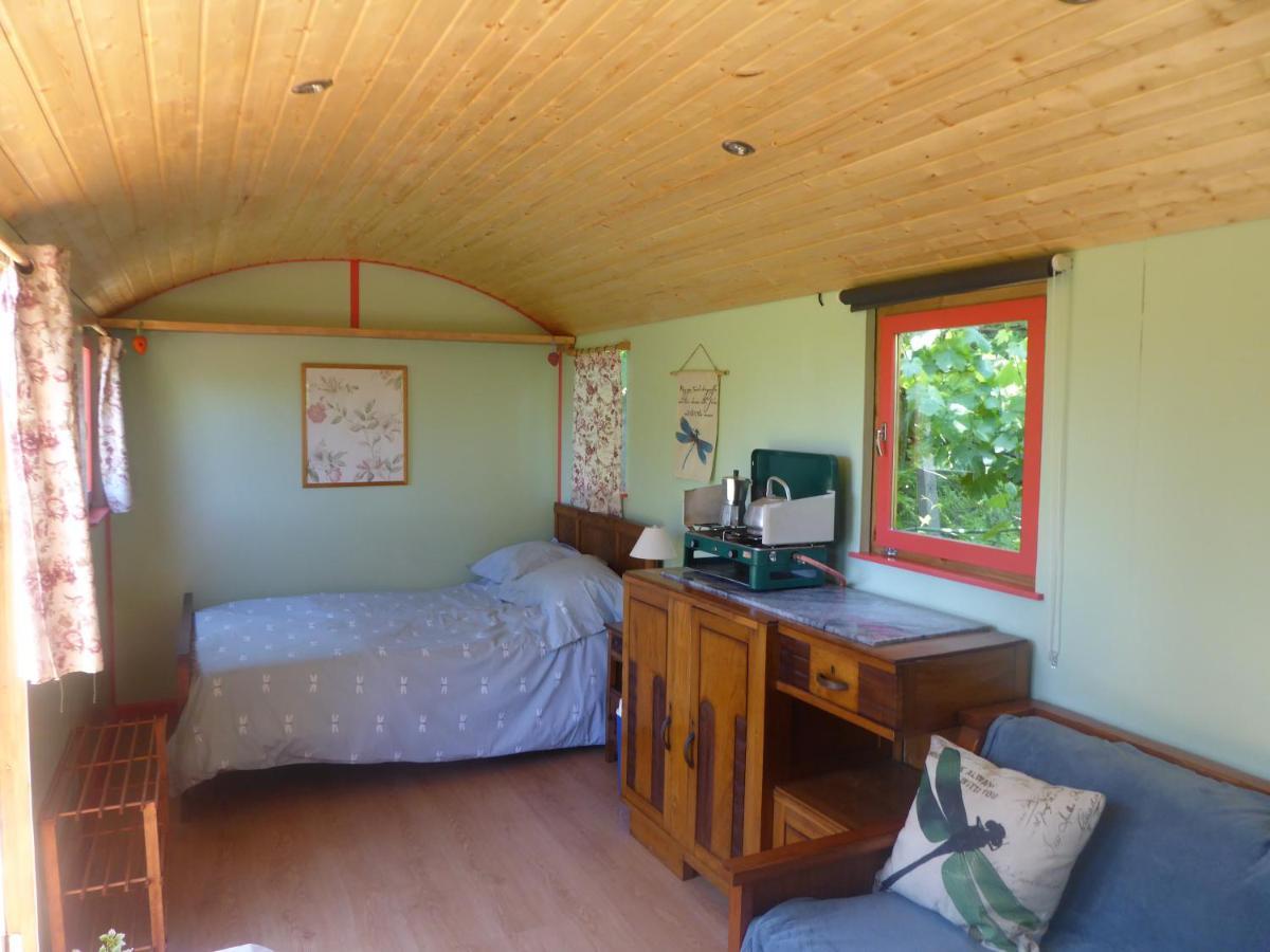 Rosa The Cosy Cabin - Gypsy Wagon - Shepherds Hut, River Views Off-Grid Eco Living Vila Pedrogao Grande Exterior foto