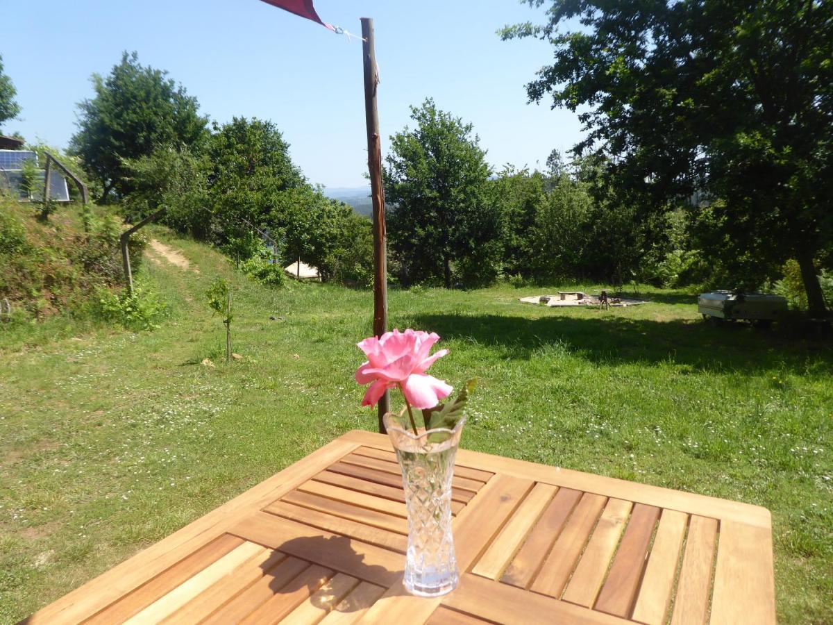 Rosa The Cosy Cabin - Gypsy Wagon - Shepherds Hut, River Views Off-Grid Eco Living Pedrogao Grande Exterior foto