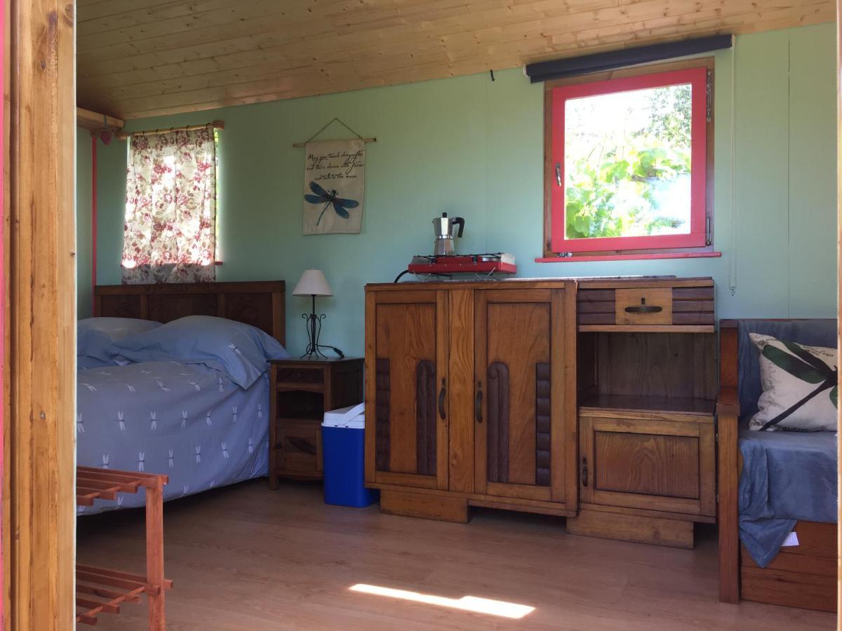 Rosa The Cosy Cabin - Gypsy Wagon - Shepherds Hut, River Views Off-Grid Eco Living Pedrogao Grande Exterior foto