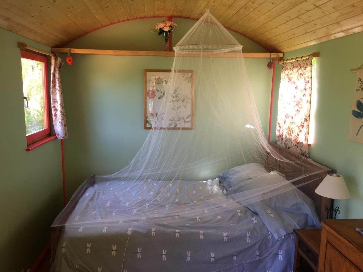 Rosa The Cosy Cabin - Gypsy Wagon - Shepherds Hut, River Views Off-Grid Eco Living Vila Pedrogao Grande Exterior foto