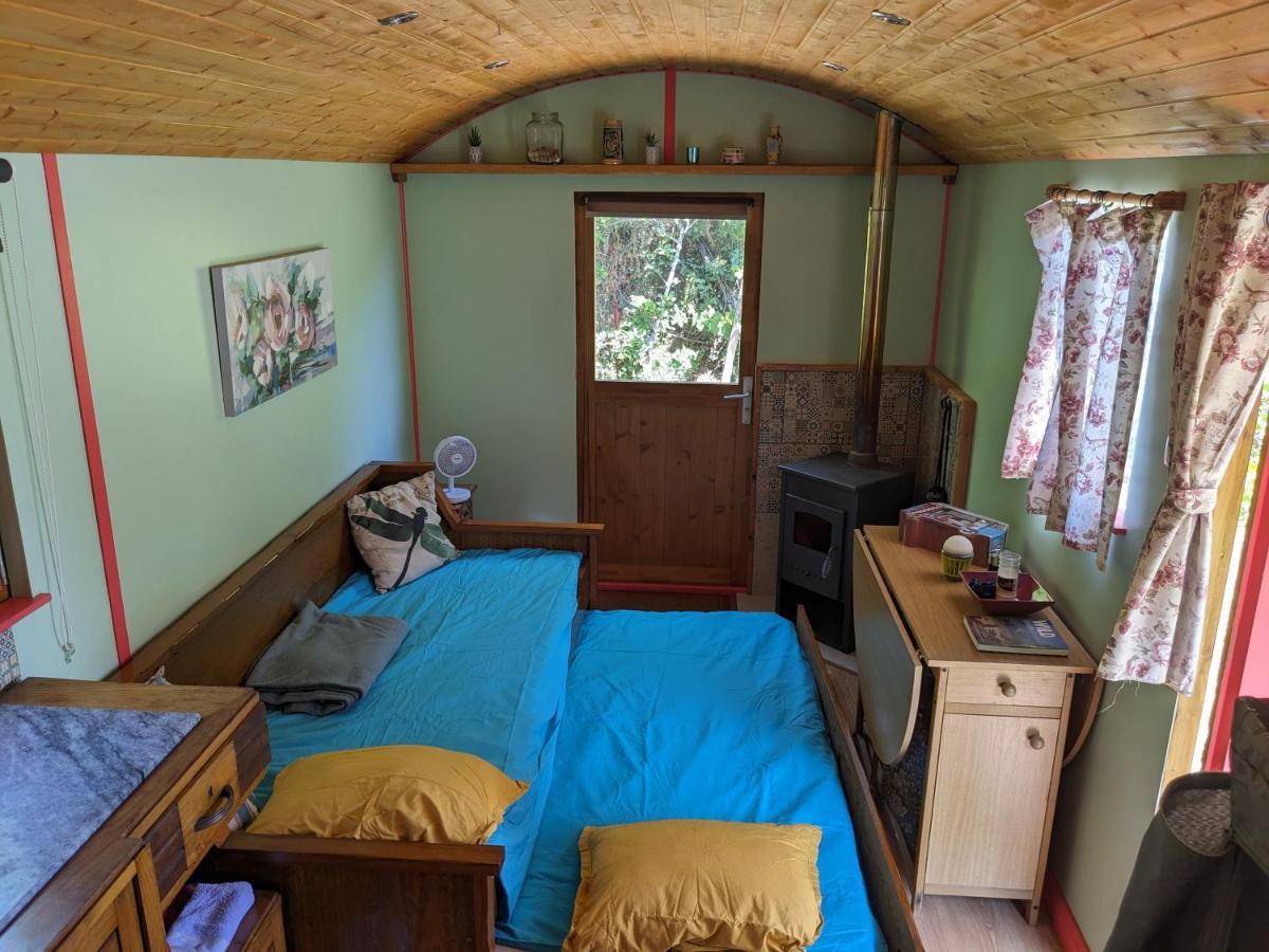 Rosa The Cosy Cabin - Gypsy Wagon - Shepherds Hut, River Views Off-Grid Eco Living Vila Pedrogao Grande Exterior foto